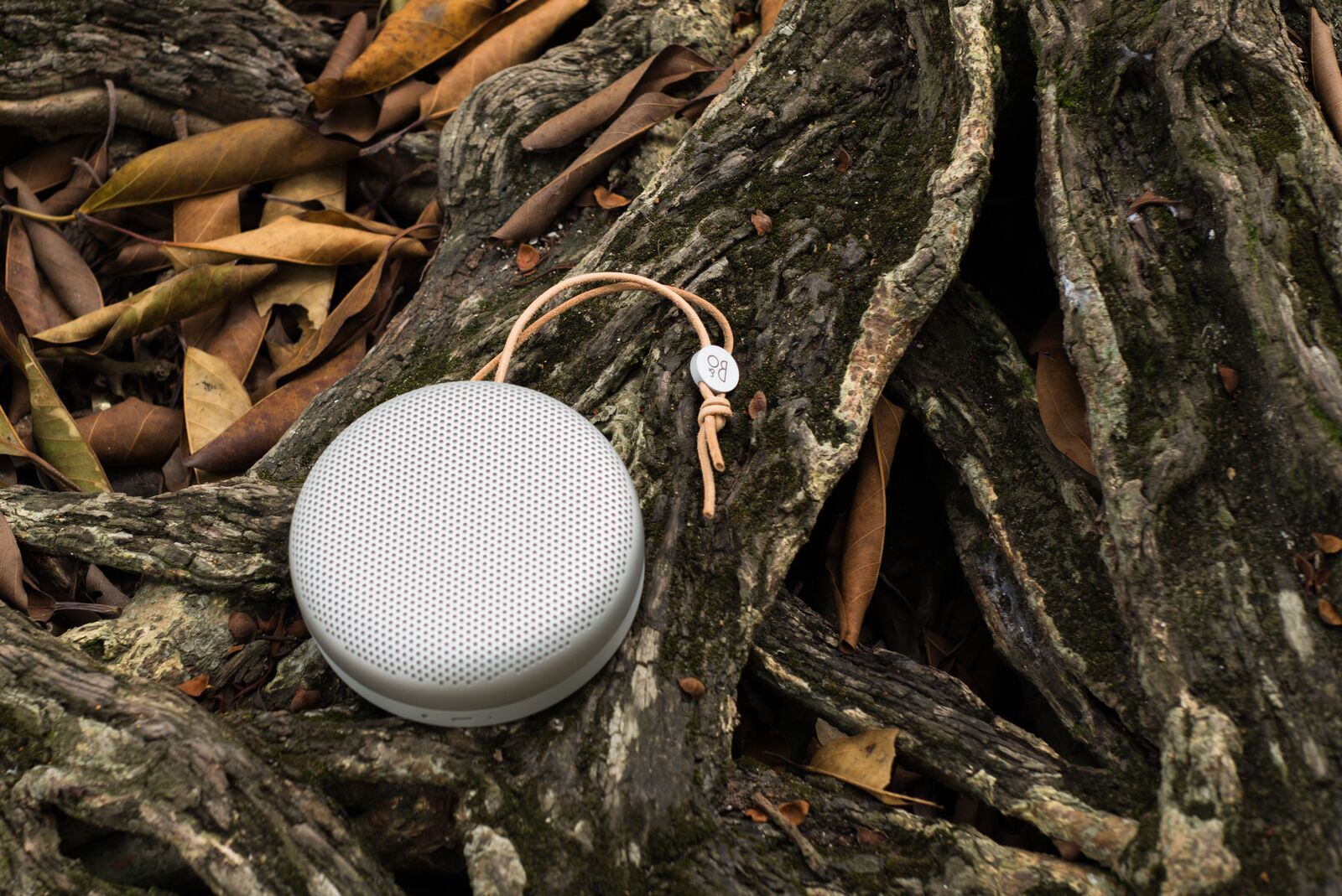 Loa Bluetooth B&O BeoPlay A1