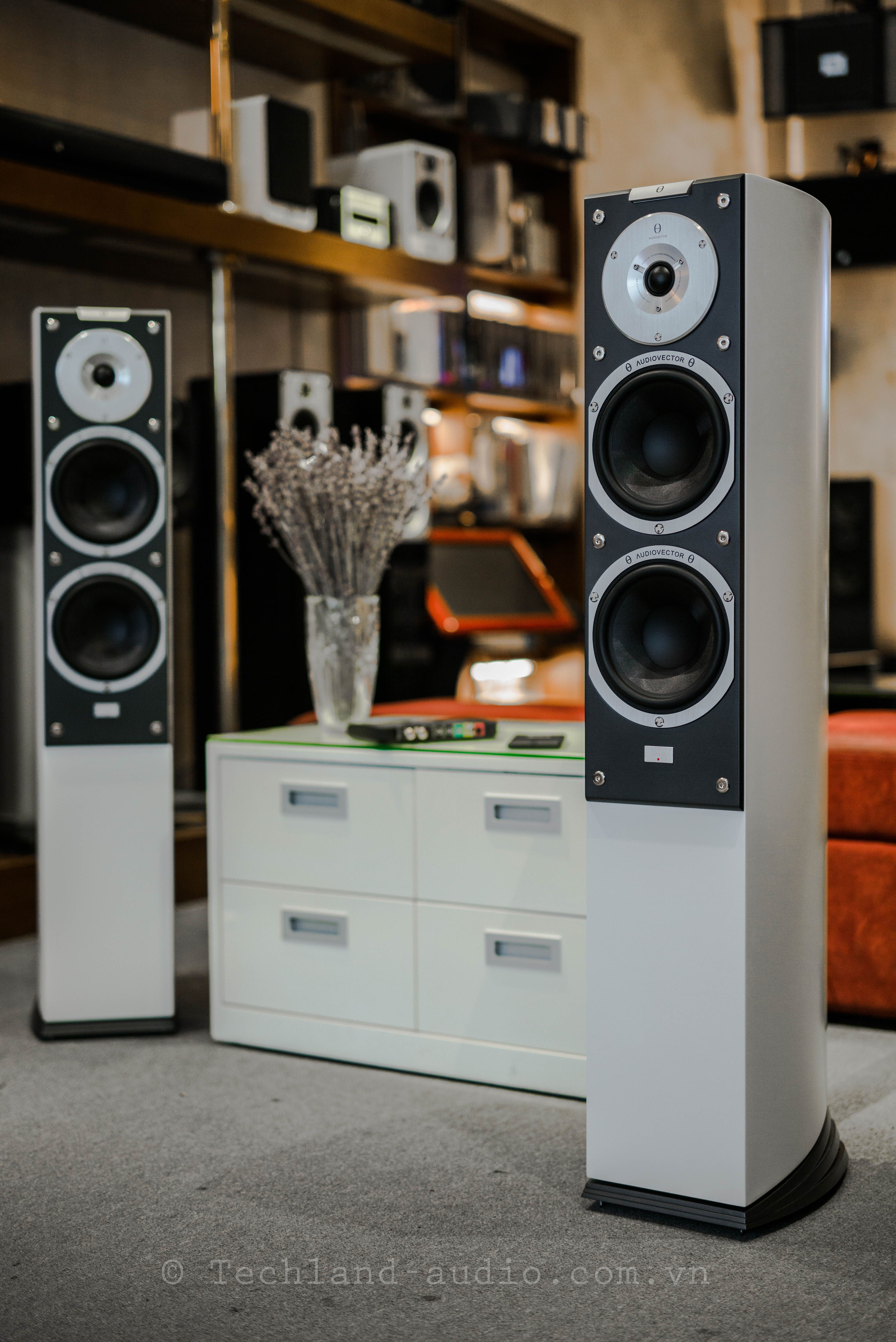 LOA CÂY AUDIOVECTOR ĐẲNG CẤP HI-END GIÁ HI-FI